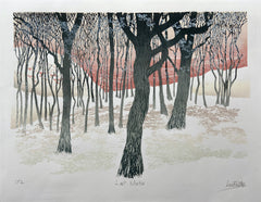 CP 2. Last Winter