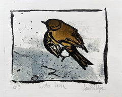CP3 Winter Thrush