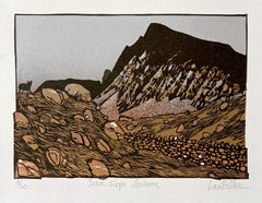 Scree Slope, Autumn 6/10