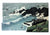 North Shore. Bardsey #1