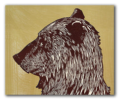 The Bear