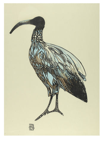 The Ibis of Ideas