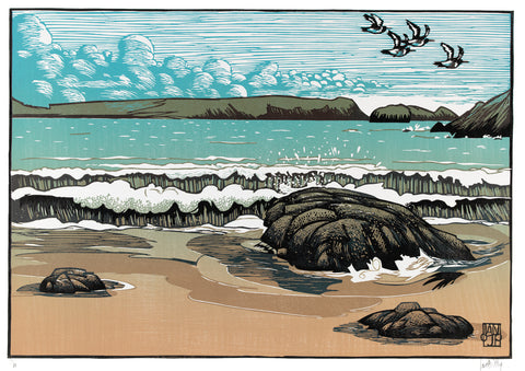 Oystercatchers